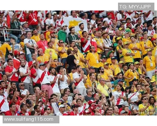 世界杯足球明星互动盛宴球迷与偶像亲密接触的精彩瞬间